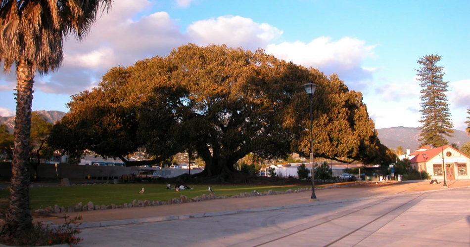 20 Best Attractions in Santa Barbara, CA