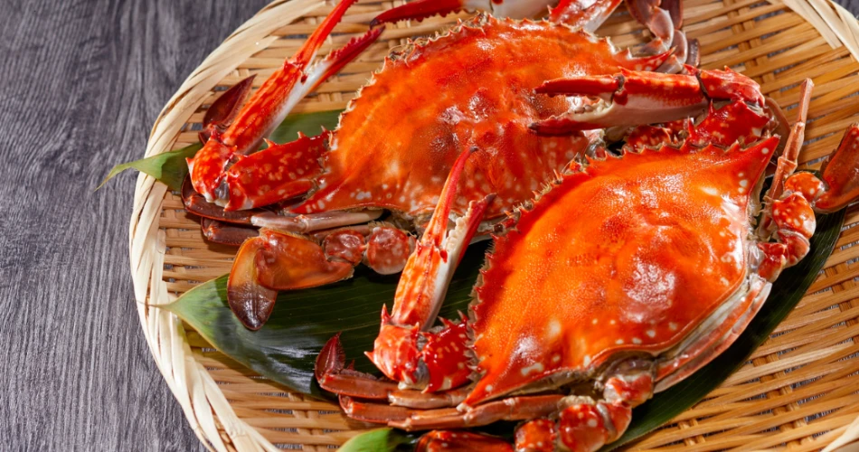 10 Best Restaurants in Santa Barbara, CA