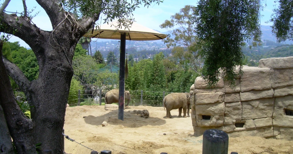 How to Spend the Perfect 48 Hours in Santa Barbara